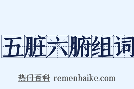 五脏六腑组词是什么意思的图片